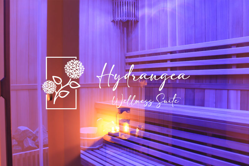 hidrangea-copertina-hydrangea-wellness-suite-sauna-bagno-turco-doccia-emozionale-acqua-depurante-delle-ortensie-boutique-hotel-fiuggi-terme-chaise-longue-trattamenti-benessere-viso-e-corpo-massaggi